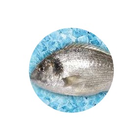 ORADA OČIŠĆENA